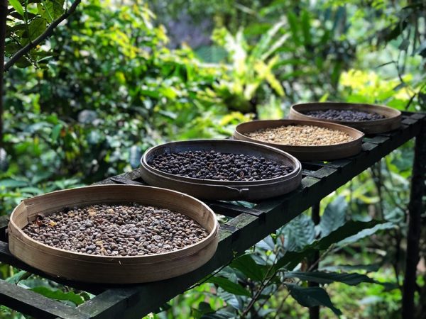 Package Bali Tour - Image 9