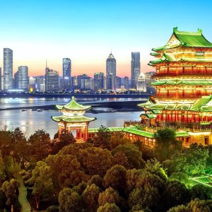 Chinese Language (x2)