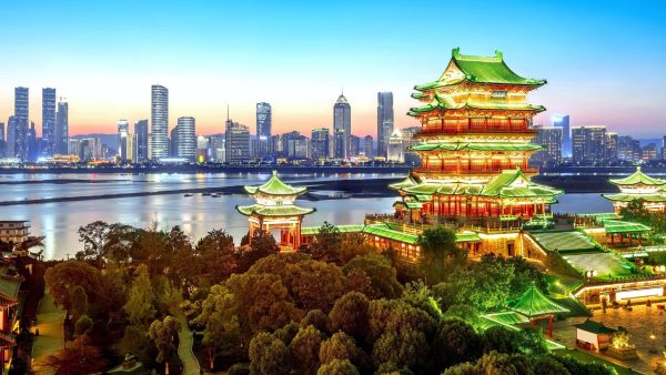 Chinese Language (x2)